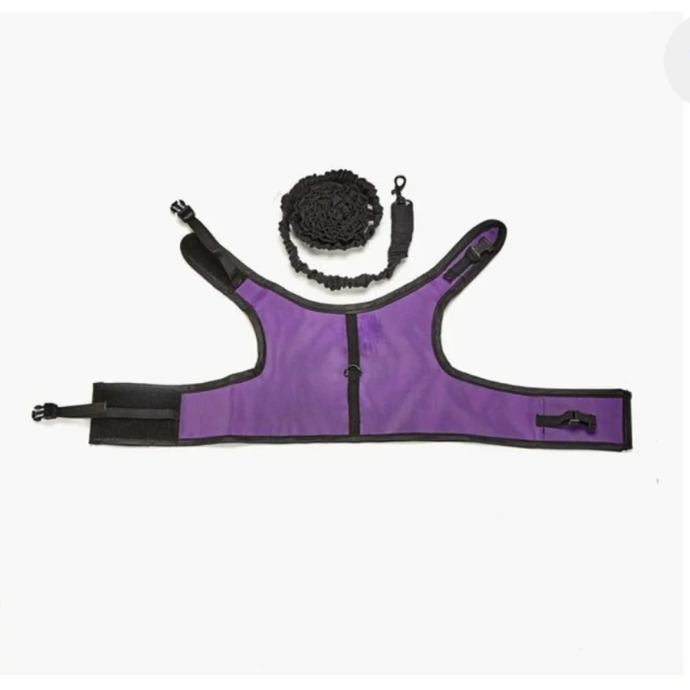 Kaytee Comfort Harness & Leash